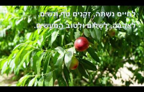 קידוש לט'ו בשבט- יעקב מעוז