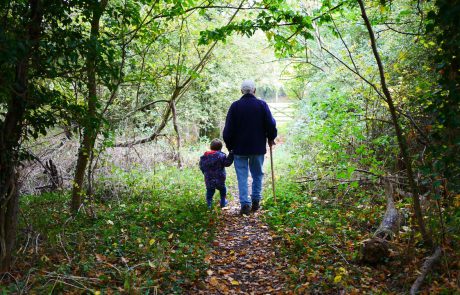 A Multi-Generational Blessing Over the Children